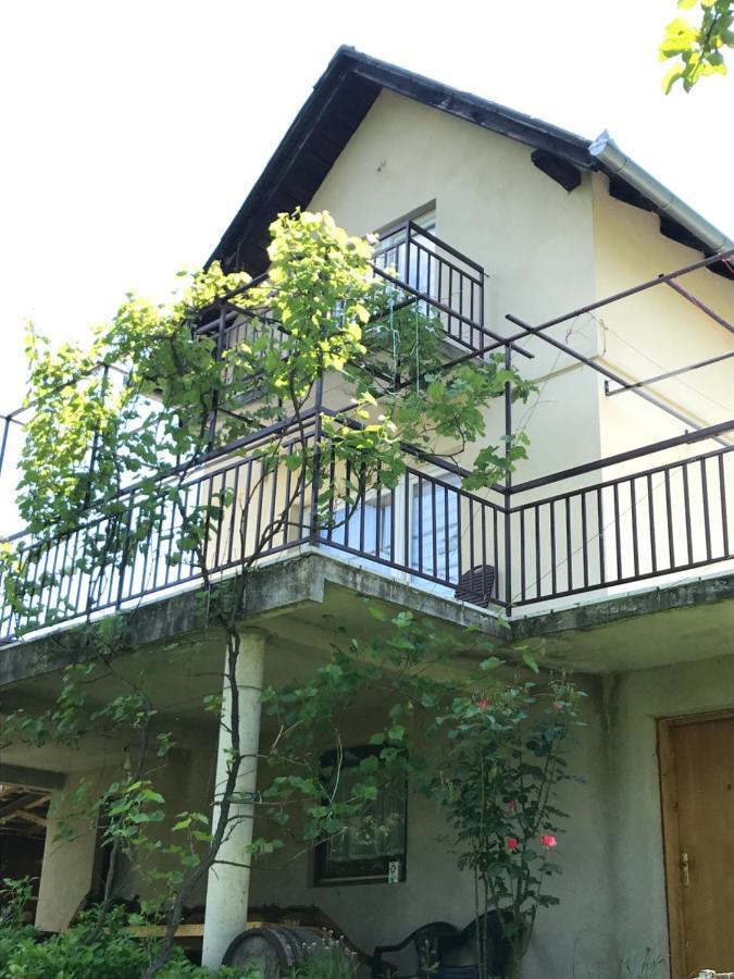 Aparthouse Bilic 亚伊采 外观 照片