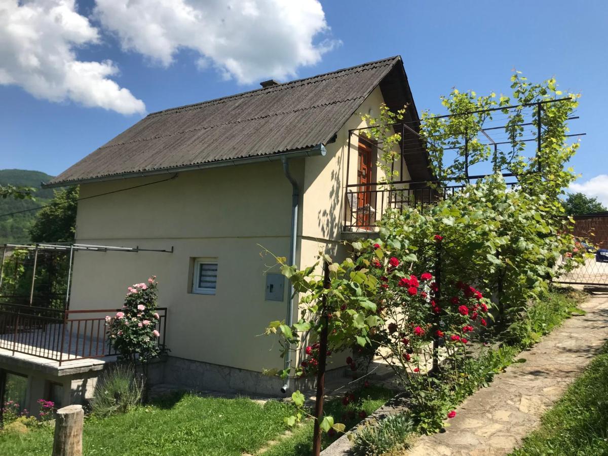 Aparthouse Bilic 亚伊采 外观 照片